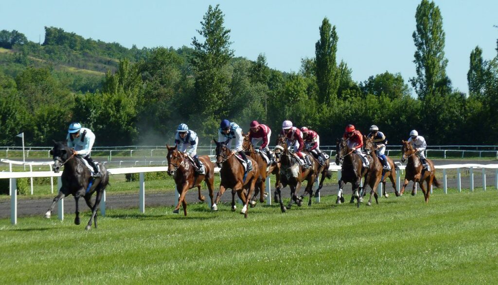 courses hippiques avec genycourses
