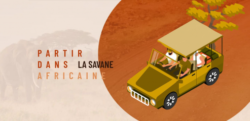 https://www.safari-en-afrique.com